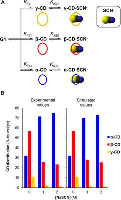 Chaotropic and Kosmotropic Anions Regulate the Outcome of Enzyme-Mediated Dynamic Combinatorial Libraries of Cyclodextrins in Two Different Ways